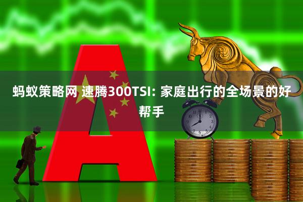 蚂蚁策略网 速腾300TSI: 家庭出行的全场景的好帮手