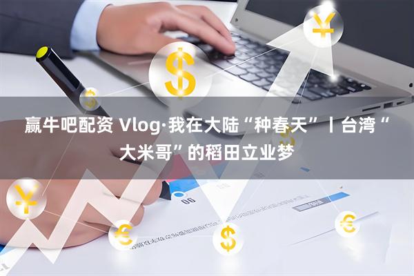赢牛吧配资 Vlog·我在大陆“种春天”丨台湾“大米哥”的稻田立业梦
